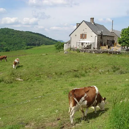 Farm stay Chez Marraine Sauvat